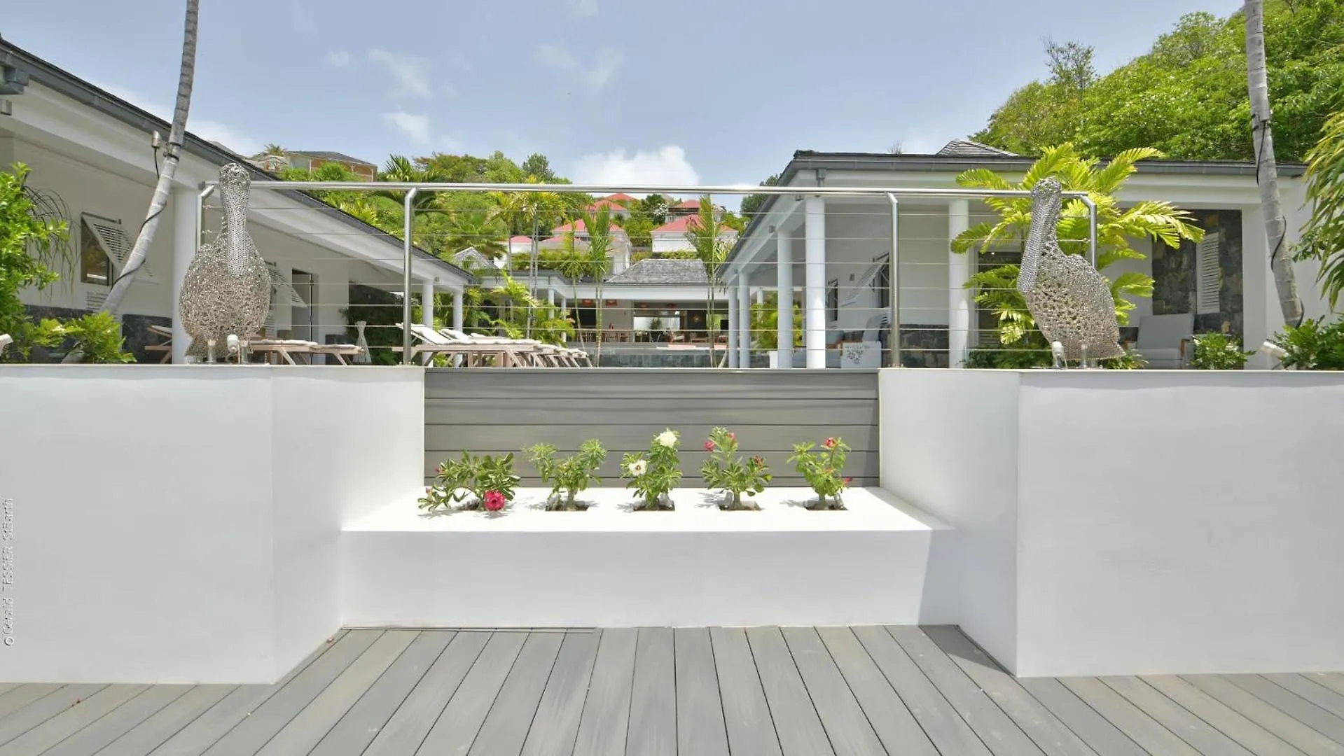 Modern Villa With Two Swimming Pools Petit Cul-de-Sac